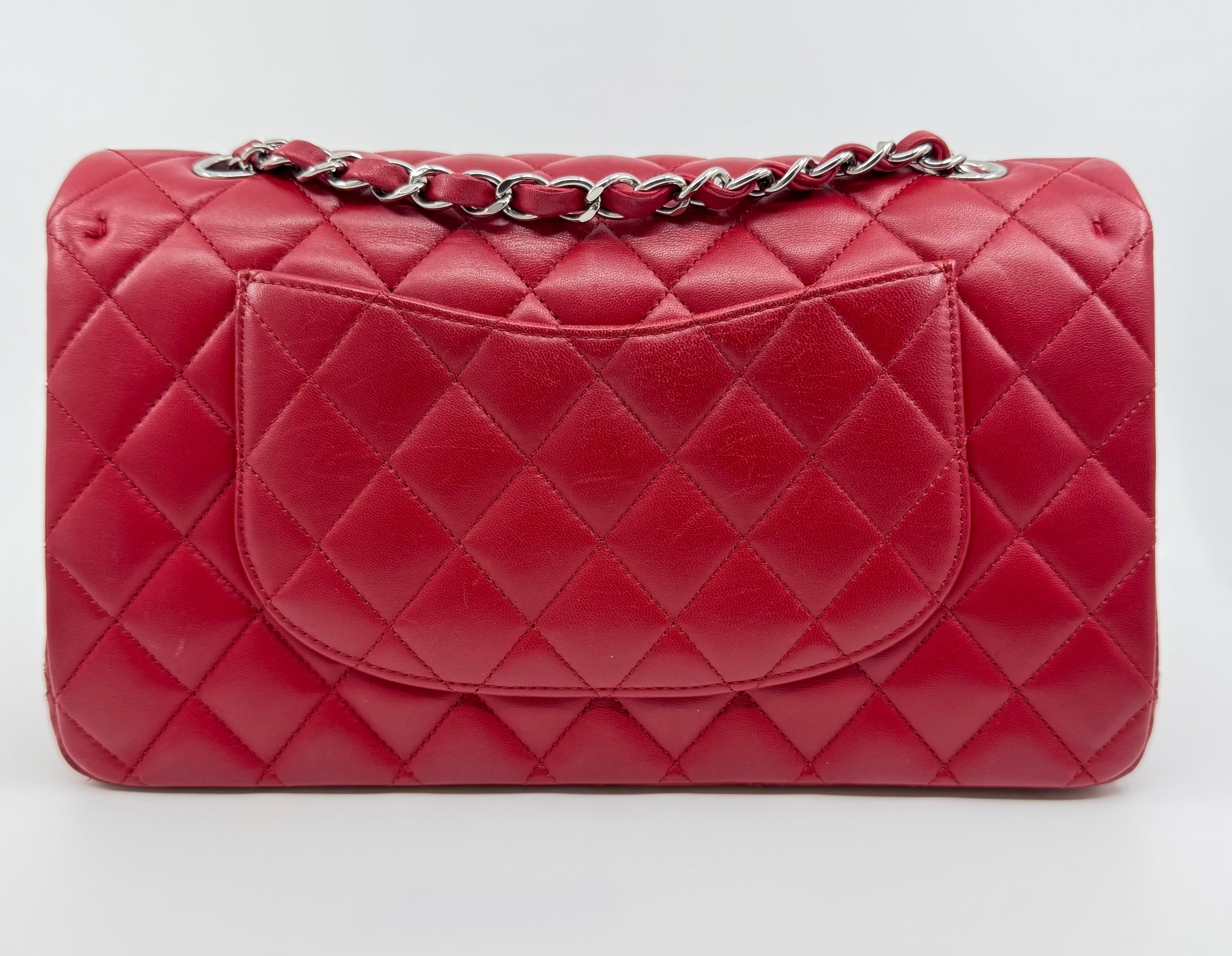 Chanel classic flap bag - Medium